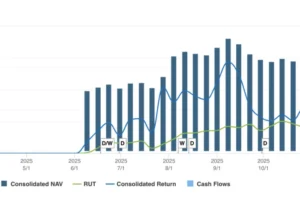 graph for 2025 net asset value